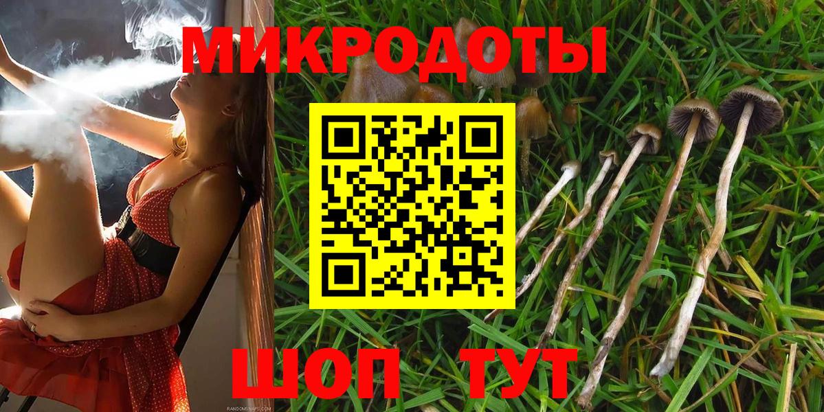 Галлюциногенные грибы мухоморы  Вход с VPN  Семилуки 