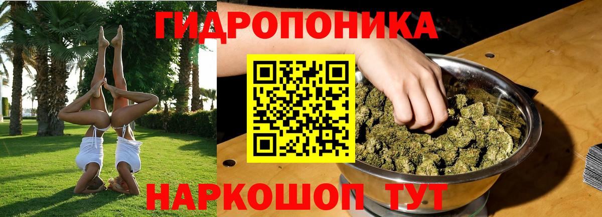 Конопля Amnesia  МАРИХУАНА гибрид  Семилуки  Каннабис LSD WEED  Вход с VPN 